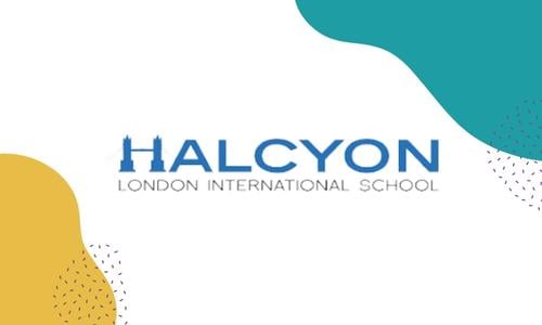 Halcyon logo for the website